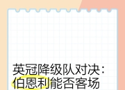 爱游戏app安装-伯恩利主场失利，暂居倒数区堪落降级区的简单介绍