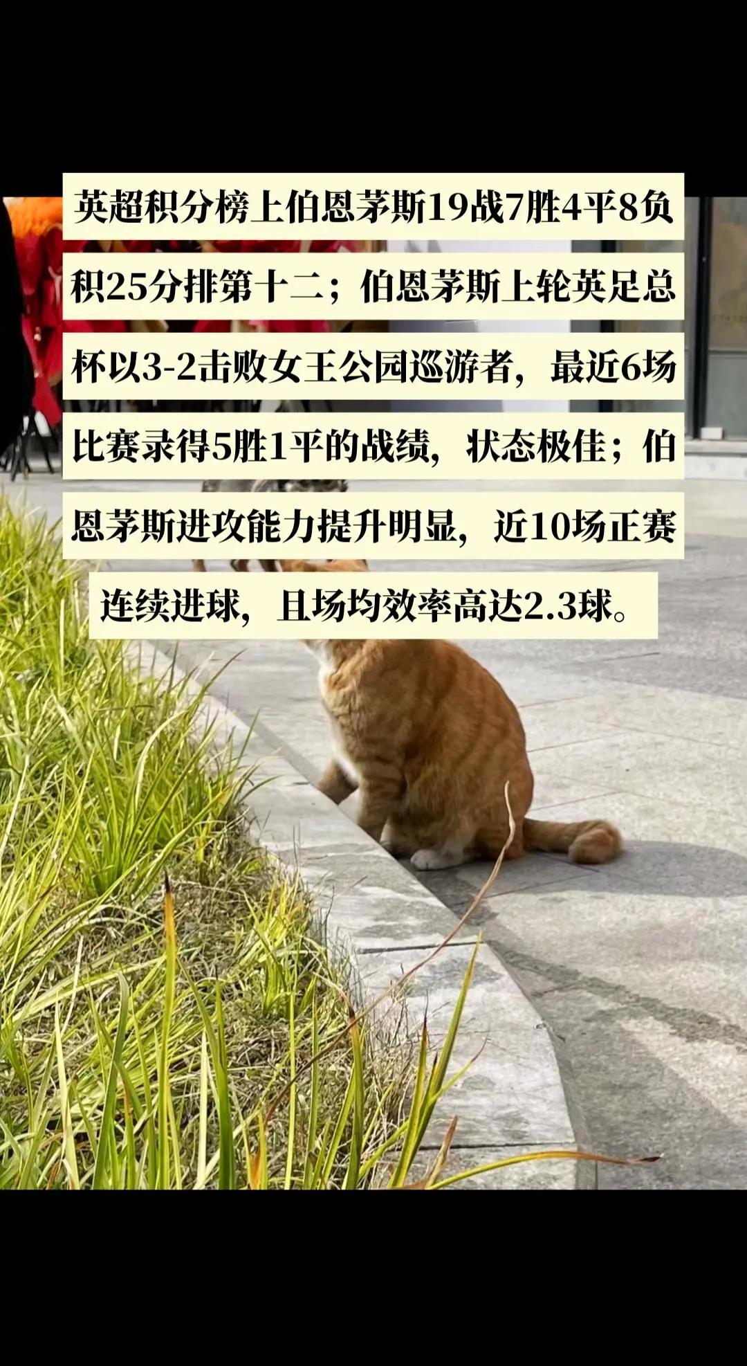 热刺-战平伯恩茅斯，保住英超积分榜前位的简单介绍